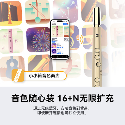 ROBKOO锣钹小小笛电吹管国产真采样萨克斯电笛子入门吹奏乐器初学者 黑金【真采样 50种音色】