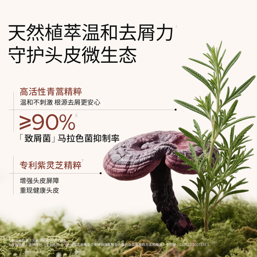 roye若也【龚俊同款】去屑止痒洗发水控油清爽青蒿植萃洗发液236ml