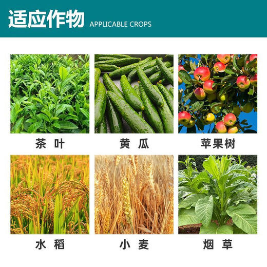 Bihu Germany imported indoethyl brassinolide flower bud flower antidote to growth-promoting pesticide growth regulator 50g