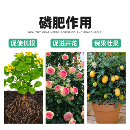 Phosphate fertilizer, superphosphate fertilizer for growing vegetables and flowers, fertilizer for fruit trees, flowers and agricultural crops, general flower-stimulating calcium phosphate fertilizer, 50 Jin Jin is equal to 0.5 kg (can be shipped in whole package)