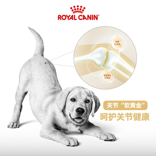 Royal Dog Food Labrador Adult Dog Food Dog Food Pet Large Dog LR30 Full Price Dog Food 15 3KG