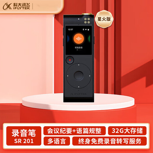 Iflytek Recorder T HD Rauschreduktion zum Text SR702T Voice Transfer Text