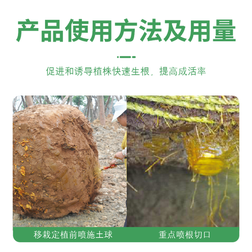 Guoguang Genpan 5% indole butyric acid naphthalene acetic acid flower seedlings lawn transplanting cutting rooting agent 200 ml