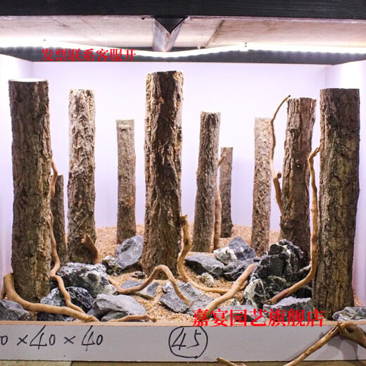 Champagne trunk underwater forest ornaments decoration pure natural water and land tank rainforest tank landscaping climbing pet turtle sun terrace 6-8 cm in diameter and 30 cm long