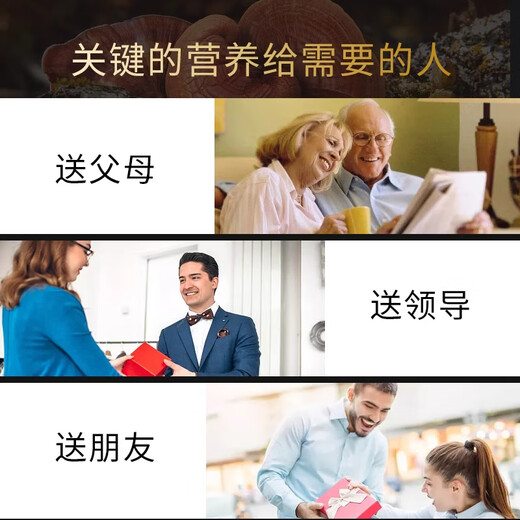 破壁灵芝孢子粉胶囊胖东来同款提高抵抗力增强免疫力孢子粉正品 3瓶礼盒装（送人有面子）