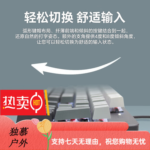 罗技（Logitech）K845机械键盘 有线键盘 办公电脑打字键盘  电竞游戏发光全尺寸个 罗技K845青轴晨曦灰