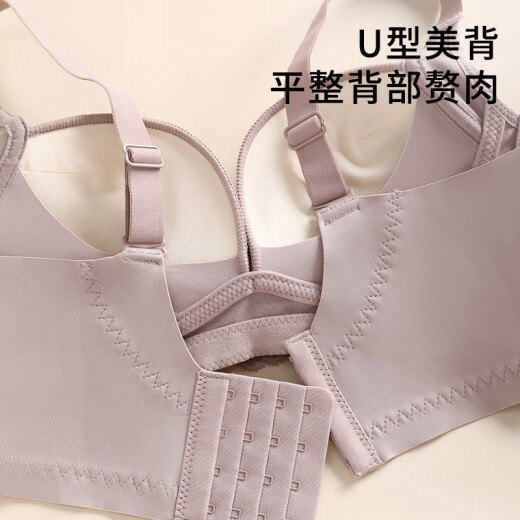 芬腾内衣女夏季新品小胸提拉聚拢性感蕾丝透气防下垂无钢圈收副乳文胸
