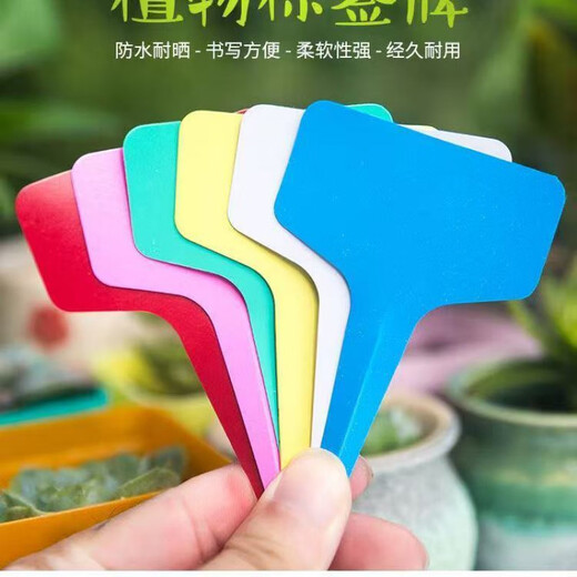 Gardening label succulent label identification vegetable flower label plant name record bonsai plastic ground label pink 100 pieces