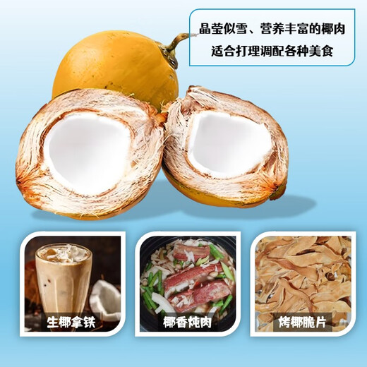 Jinrunxin Hainan Golden Coconut Freshly Picked Green Coconut Large Fruit Natural Coconut Water Coconut Juice Coconut Egg Pregnant Women Fruit Amniotic Water Sharing Pack 4 (Large Fruit Single Fruit Approximately 3Jin Jin is equal to 0.5kg)
