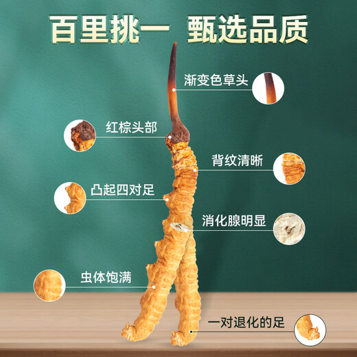 藏幽正宗冬虫夏草礼盒装滋补品头期干虫草送长辈父母领导营养品礼物 【自用 送礼】4根/克-20克-80根【性价比款】