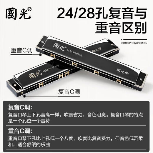 国光24孔28孔复音教学成人口琴C调音簧比赛初学口琴国之梦吹奏乐器 金色复音C调【纪念款】