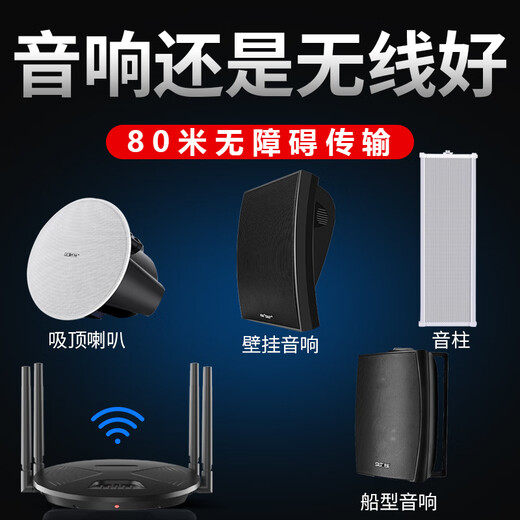 SAST Wireless Bluetooth Decken Audio Set Heavy Bass Active Sender Deckenlautsprecher Home Store Büro öffentlich Broadcast Hintergrundmusik Sprecher One Drag One