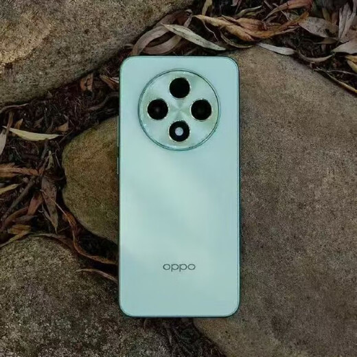 OPPOA3 5G Mobile Phone Snapdragon 695 Процессор 6,7-дюймовый размер экрана 5000 мАч емкость батареи OPPO A3 [Shanjian Green] + аксессуары 12 ГБ + 512 ГБ [пакет один]