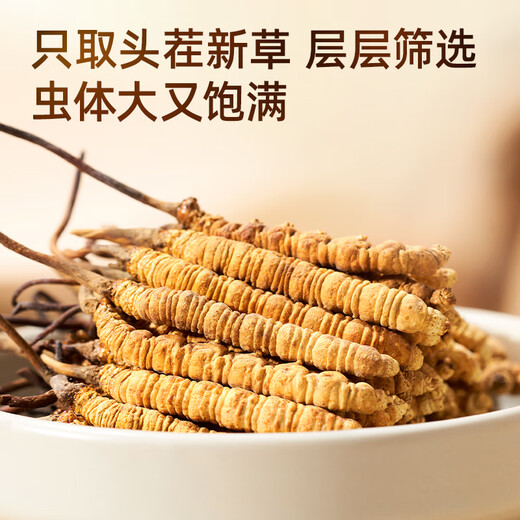 
Purple and blue flower sea Cordyceps sinensis 3 roots/g 10g new dried Cordyceps gift box in high-quality tonics [Healthy Gift Box]