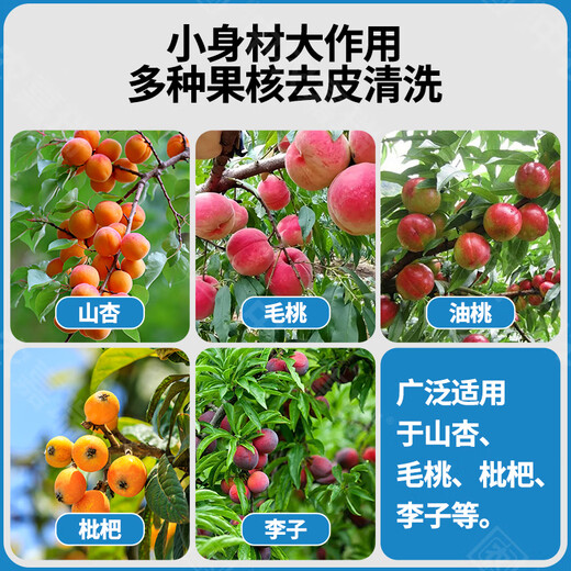 
Zhongnong Jiarui almond kernel apricot meat apricot kernel separator Shan Apricot peeling machine core meat separator thickened steel pulp separator 1050 flagship almond divider-single machine