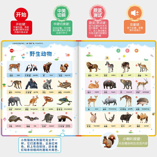 Leleyu Children's Early Education 03-6 Ladung chinesischer und englischer E-Books Point Lesen Lernmaschine Baby Pinyin Hörbücher Frühschulaufklärung + frühe Bildung Pinyin Lademodell