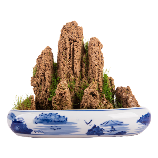 Absorbent stone on water stone natural raw stone fish pond fish tank bonsai micro landscape green plant landscaping decorative ornaments rockery stone 10-14cm absorbent stone without pot free grass seeds with stone