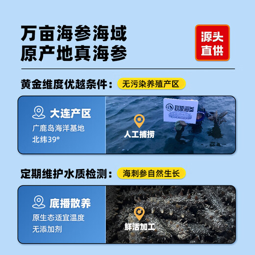 Zhaojia Dalian ready-to-eat sea cucumber base sea cucumber Net content 2Jin Jin equals 0.5kg (26-36 pieces) Straight from the source