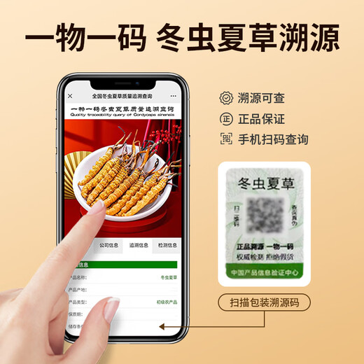 同芙 冬虫夏草3根/g 5g 15根礼盒装 滋补营养补品送长辈礼品礼物