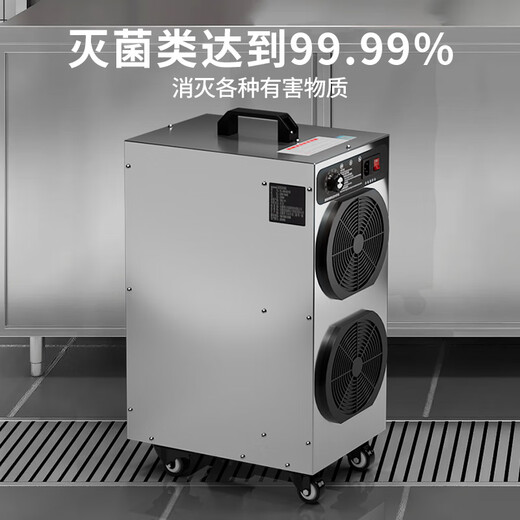 ANLEAVO ozone generator food factory disinfection ozone machine industrial workshop school hospital municipal garbage room cold storage warehouse archives air purifier sterilization, deodorization and odor removal 40g/h (applicable to 400-500 square meters)