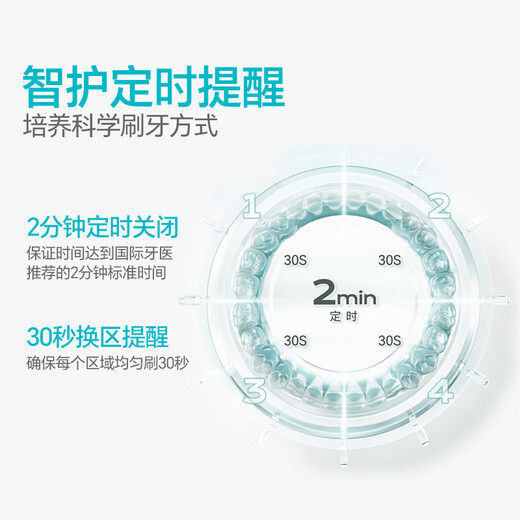Roaman Electric Zahnbürste Zahnarzt empfiehlt 48.000 hohe Schwingungsfrequenz Gummischutz für Paare Erwachsener Freund und Freundin Geburtstag Chinesisches Valentinstag Geschenk 6 Bürsten Head Home Appliances National Subvention T3 White