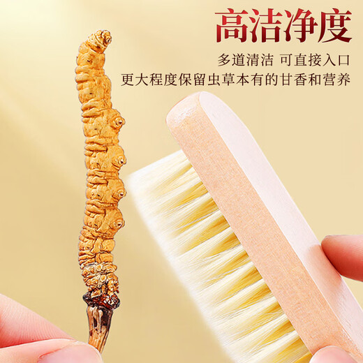 芝康纪冬虫夏草官方旗舰店正品特级虫草礼盒滋补营养品高端送礼送父母 2根/克 10g（臻品礼盒）