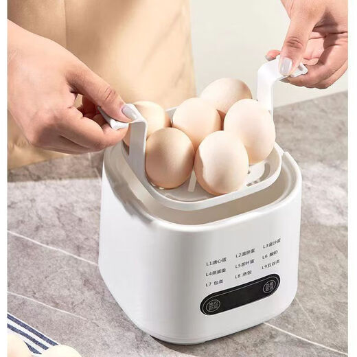 RASW German egg cooker automatic power off 2025 egg steamer multifunctional household small boiled egg breakfast artifact steaming and cooking all-in-one machine for one person fully automatic double layer flagship exclusive model full set of accessories + large capacity + 24H reservation