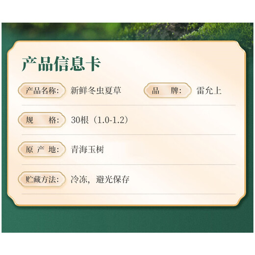 雷允上 冬虫夏草 头期新鲜虫草 生态繁育 冷鲜配送【鲜虫草不支持退货】 30条（1-1.2g/条）