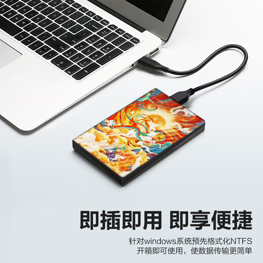 Western Digital (WD) 6 TB mobile Festplatte USB 3.0 2,5-Zoll mechanische Festplatte Laptop externe verschlüsselte Backup-Speicher mit großer Kapazität lackiert individuell angepasst Luta Xiangyun