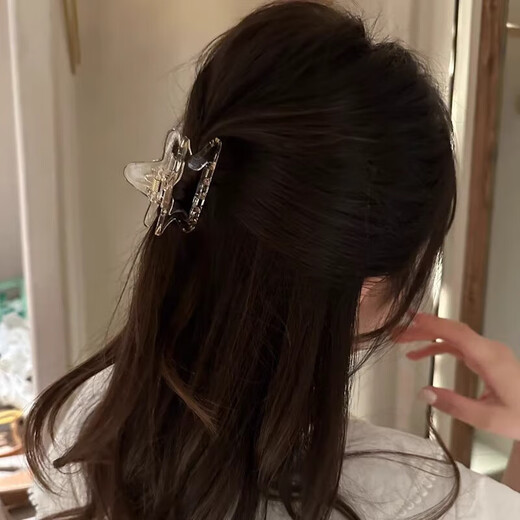 Brown star transparent clip, fresh half-tied hair clip at the back of the head, women's new shark clip hair accessory, high-end champagne five-pointed star clip