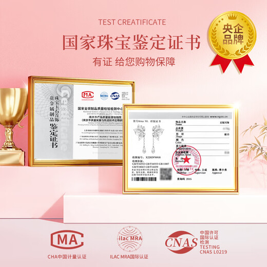 China Gold Hollow Twin Butterfly Tassel Earrings for Women Earrings and Earrings Birthday Gifts for Girlfriend and Wife Wedding Anniversary Silver Hollow Twin Butterfly Tassel Earrings Today/Next Day Delivery