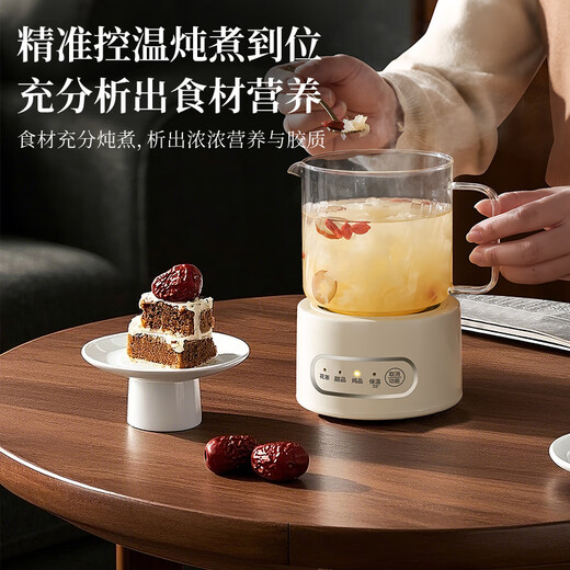 AILUKI German Health Pot Office Small Tea Maker Household Women's One Person Mini Health Cup Pot Constant Temperature Brewing Cup Tea Stove Intelligent Constant Temperature 06L