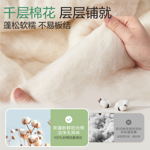 Beyond Kids Kindergarten Mattress Class A Mattress Nap Mat Baby Bedding Mat Panda Baby 60*135cm