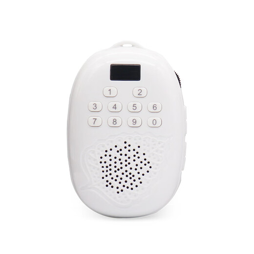 Mini mini player card charging player singing machine music machine golden Bodhi Fuhui Bodhi fruit 27 tracks (1396 songs containing 16G cards)