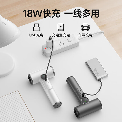 Wu Ke Rechargeable Wireless Hair Dryer Student Dormitory Special Hair Dryer Unplugged Art Entrance Exam USB Lithium Battery Blowing Hot Air High Power Pearl White/15600 mAh Battery Life + 100 Wind Levels + 30,000 RPM