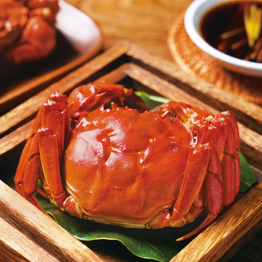Live crabs, freshly picked from Beijing, fresh hairy crabs, male crabs 4.8 taels, female crabs 3.8 taels, 4 pairs of 8 pieces, full weight, crab gift box sent directly from the source