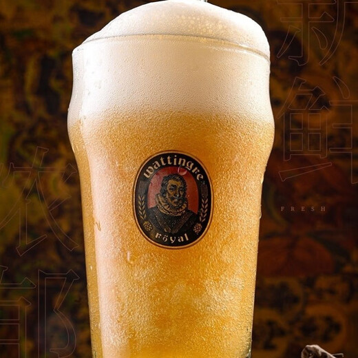 Venus Original Craft Pulp Beer Bottles avec un goût doux et délicat authentique artisanat allemand 12 Célébrité Internet 6 barils 1595 Pulp artisanal de bière blanche allemande-X 2L 6 barils
