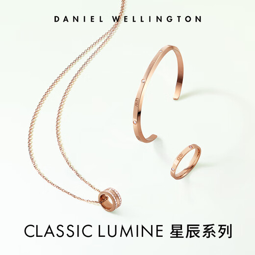 Daniel Wellington dw ring for women Star series couple ring elegant silver No. 52 birthday gift for girlfriend DW234