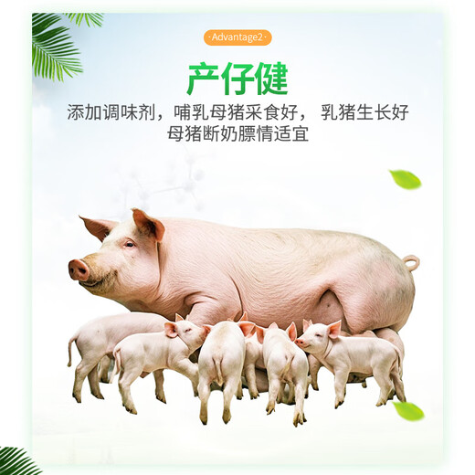 Changxiao New Hope Liuhe 8% Lactating Sow Compound Premixed Feed GY887 8% Lactating Sow Feed (20kg)