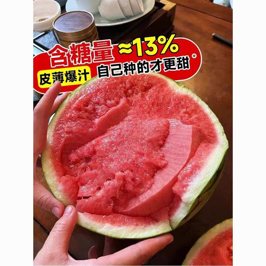 8424 Kirin watermelon seeds, seedless, high-yielding rock sugar, lazy watermelon seeds, southern four-season vegetable and fruit seeds, Huayu original color pack, 3 packs, about 150 capsules
