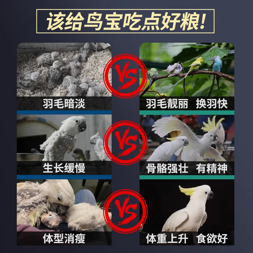 Geledor small and medium-sized black phoenix and peony parrot bird food, daily general calcium supplement, nutritious bird food, mixed seed grain, 1200ml barrel (full price food)