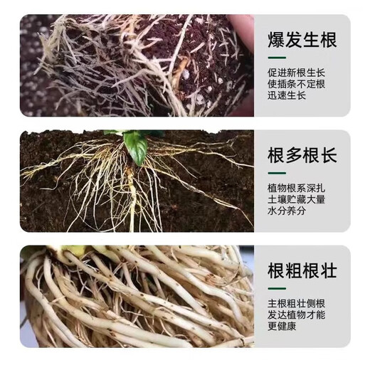 50% indolebutyric acid, indolenaphthalene acetic acid, high concentration rooting agent, rooting powder, seedling transplanting, cutting rooting promotion, 100 bottles (20g/bottle), free 1g measuring spoon