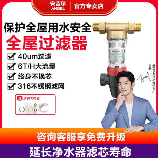 肖战代言安吉尔前置过滤器家用反冲洗全屋过滤器过滤器 灰色 安吉尔前置J3524-GWG-6000