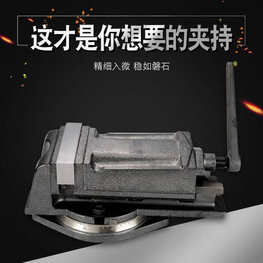 语森忆QH重型铣床机用平口钳钻床精密角固式台钳4寸5寸6寸8寸 Q12250(高精美式)
