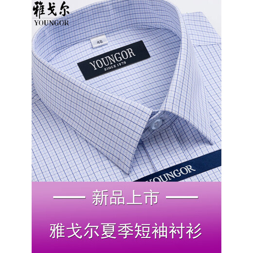CEO雅戈尔男士短袖衬衫夏季棉免烫中年休闲商务职业正装格子衬衣服 短袖DX6629 43