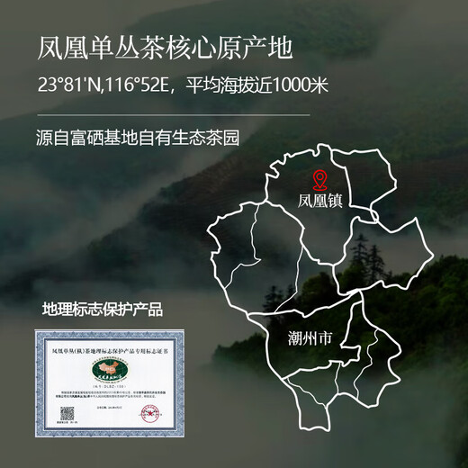 La ceremonia de té té especial fénix pino sencillo té oolong 100g fragancia espesor nuevo té auténtico chaozhou milan fragante conjunción individual
