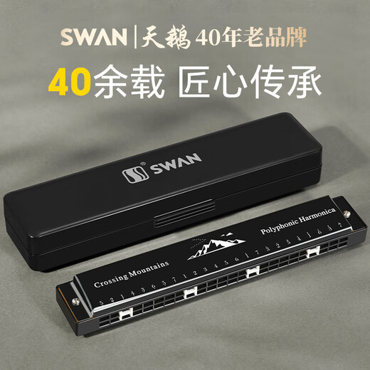 Swan (Swan) 24-Loch Polyphonic Mundhyalonica-Anfänger spielen professionell Mundharmonika C Key (schwarz)
