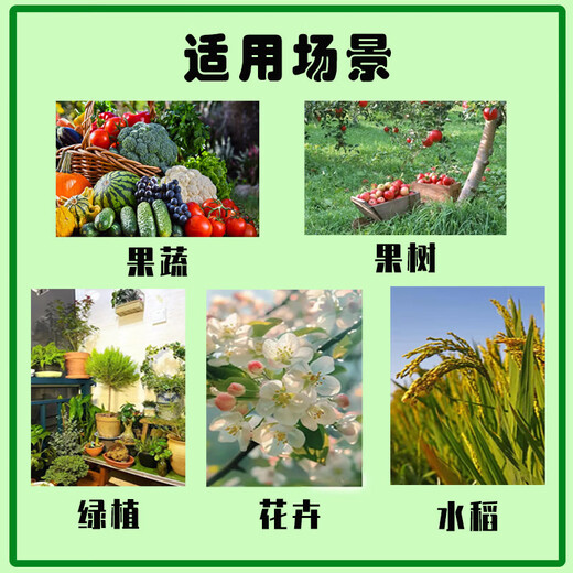 General-purpose nitrogen, phosphorus, and potassium fully water-soluble compound fertilizer for flowers, fruits, vegetables, and green plants 1-5 Jin Jin equals 0.5 kg. The fertilizer effect is up to 120 days. Universal type fully water-soluble compound fertilizer 5 Jin Jin equals 0.5 kg.