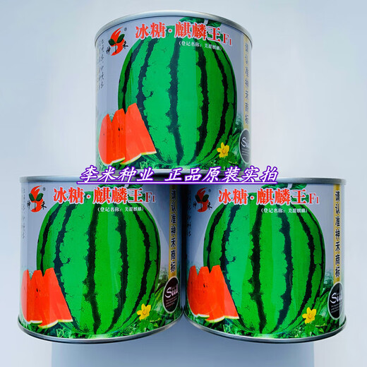 Rock sugar unicorn watermelon seeds extra large high yield red flesh spring sowing Zaojia 8424 super sweet original Zaojia 8424 original 5g
