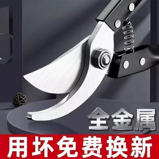 German craftsmanship imported steel branch shears, tree shears, fruit tree shears, pruning scissors for household flowers, trees and grapes to prune branches. Manufacturer provides welfare/loss impulse/not the main model. High carbon steel large shears. Extra sharp/100 times saving.